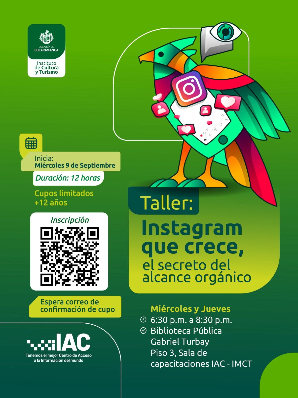 taller instagram